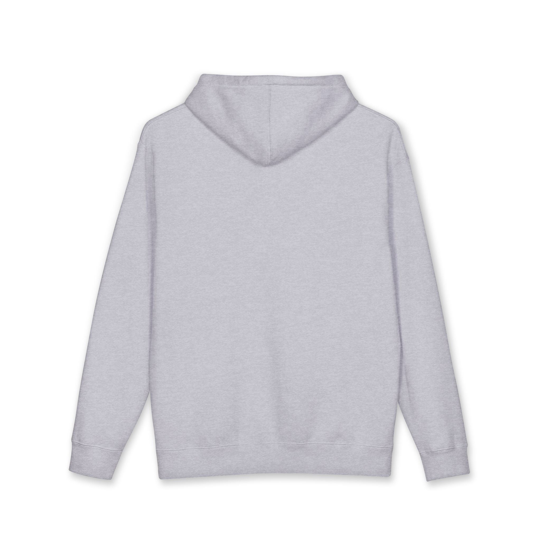 Why Not U.S.™ Hoodie Red/Blue Text