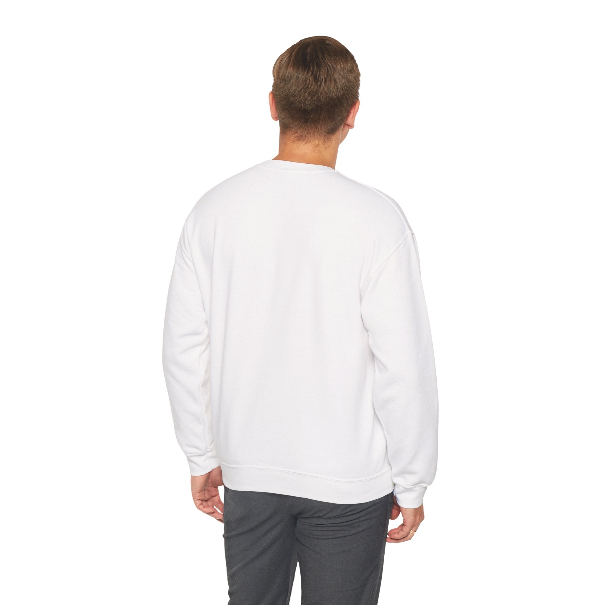 Why Not U.S.™ Unisex Crewneck Sweatshirt